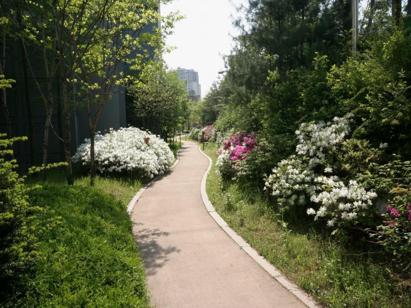 산책로