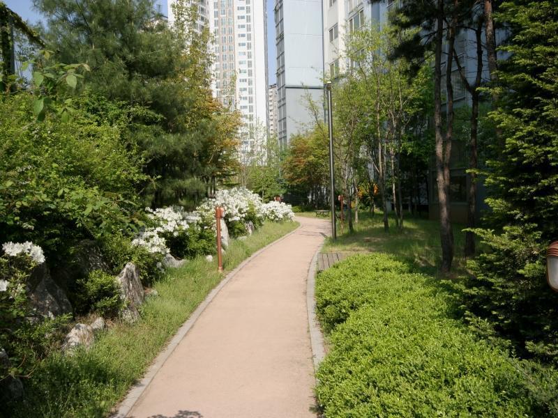 산책로1