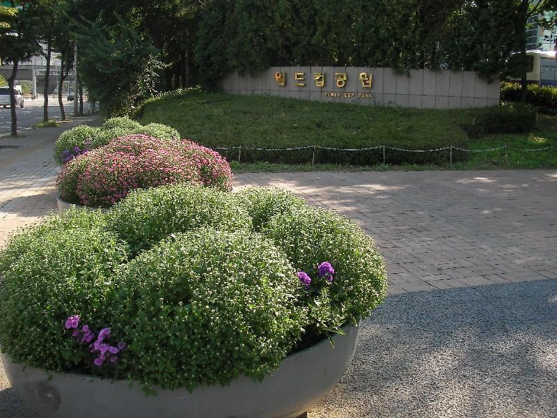 SANY0354