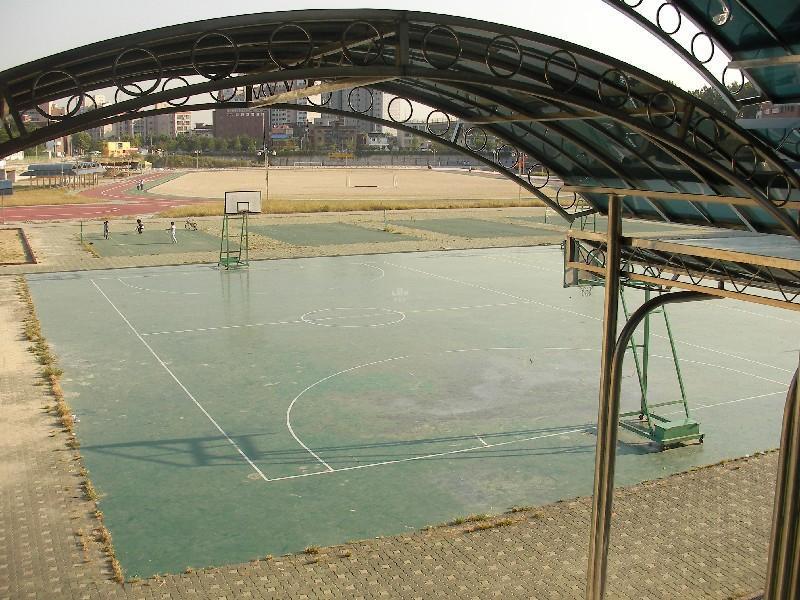 SANY0441