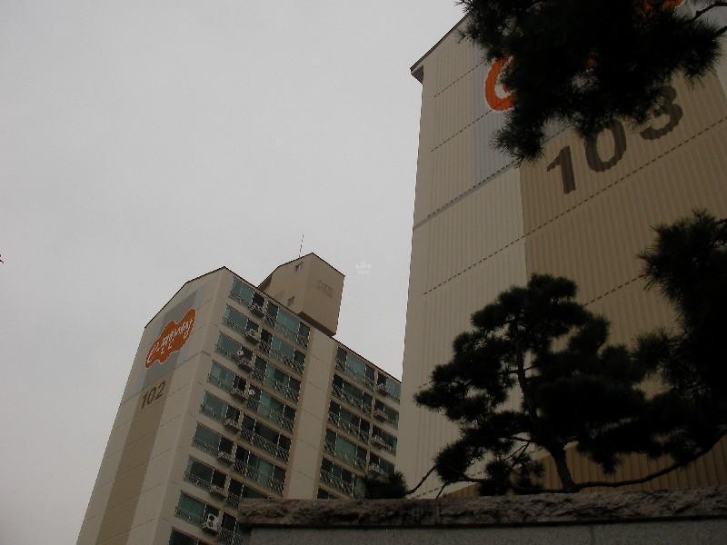 SANY0371