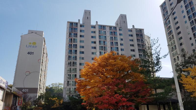일정 간격의 동 배치로 구성되어 있으며, 깔끔한 화이트톤의 포인트를 주어 세련된 디자인이 돋보이는 단지 외관이에요