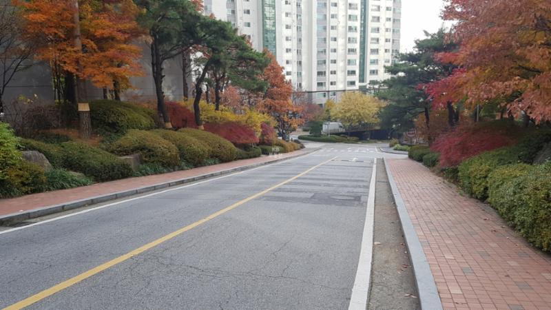 단지를 관통하여 이어져 있는 단지 내 도로에요