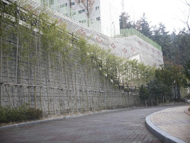 수정_MG_3265