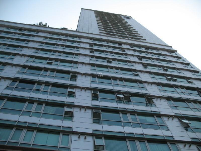 사진 305