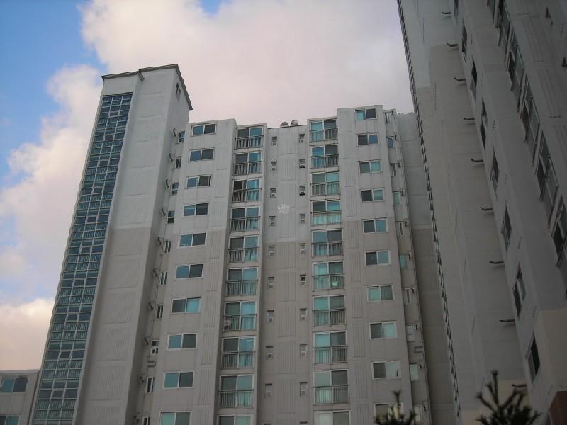 DSCN4367