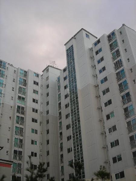 DSCN4369