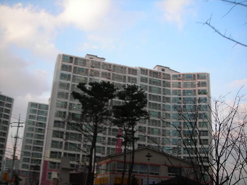 DSCN4382