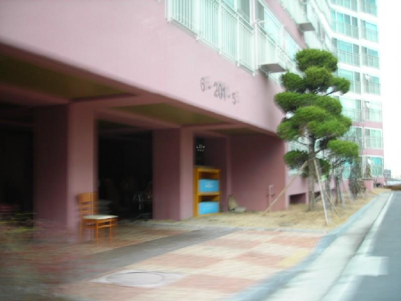 DSCN4384