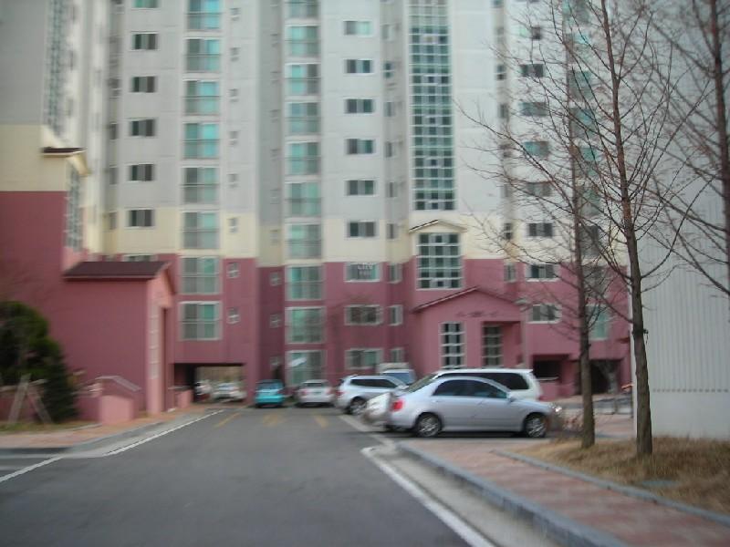 DSCN4392