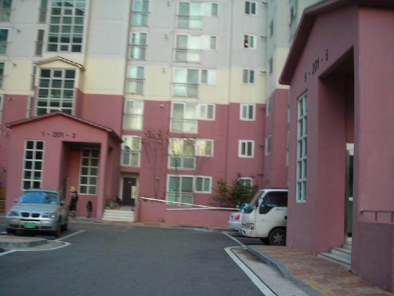 DSCN4386