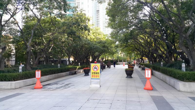 화단과 가로수로 꾸며진 보행로 입니다