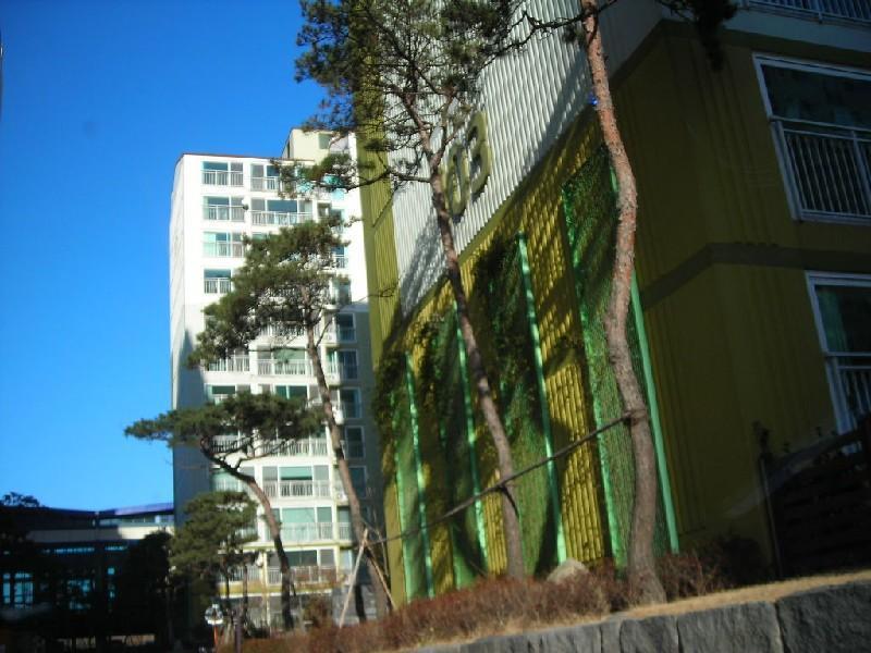 DSCN9296