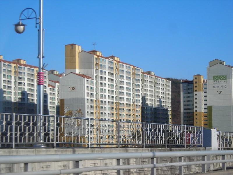 DSCN9284