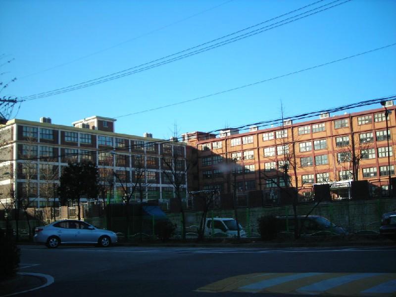 덕산초교
