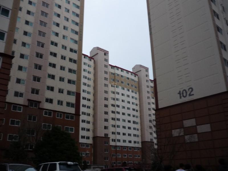 P1040103