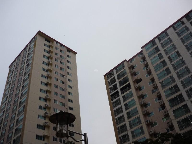 P1040111