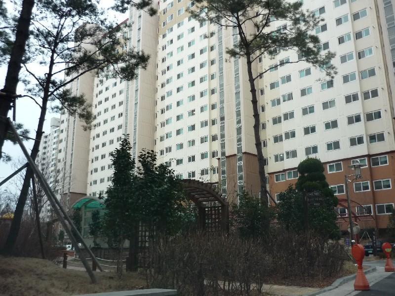 P1040102