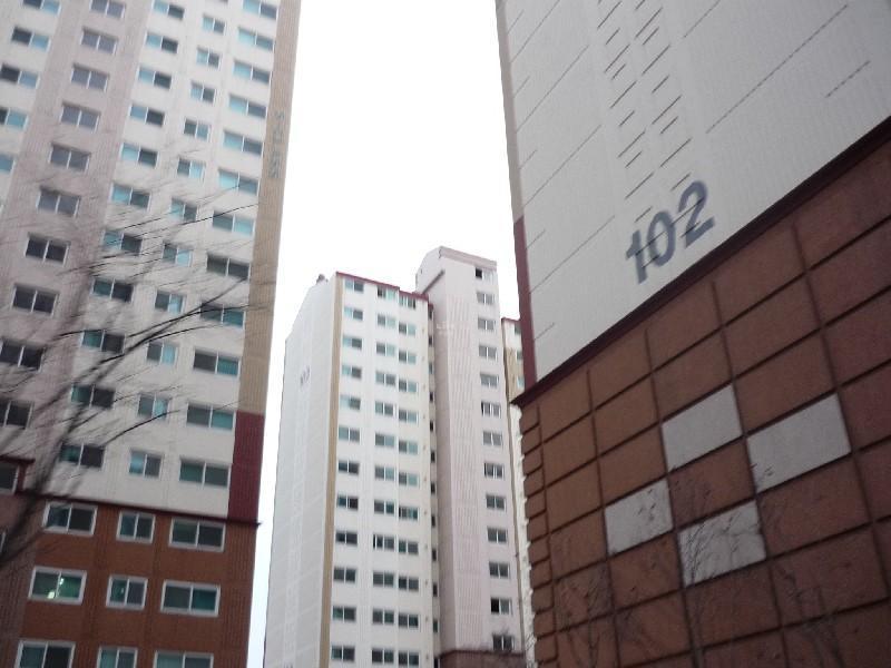 P1040088