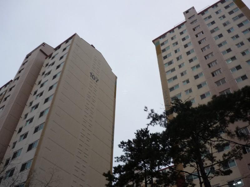 P1040099