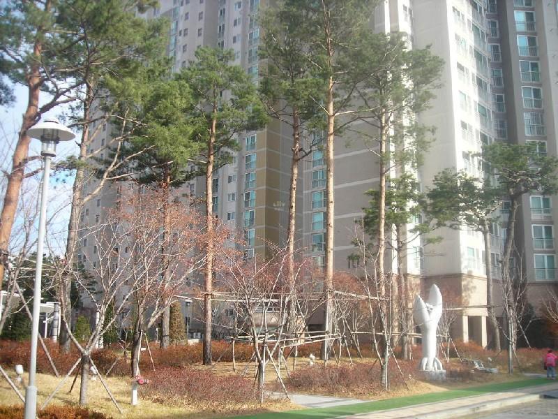DSCN7368