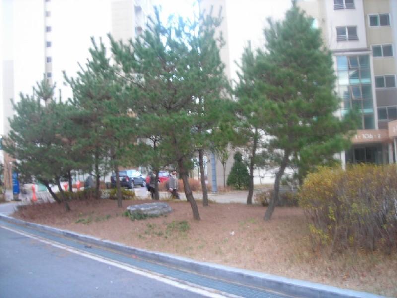 DSCN7485
