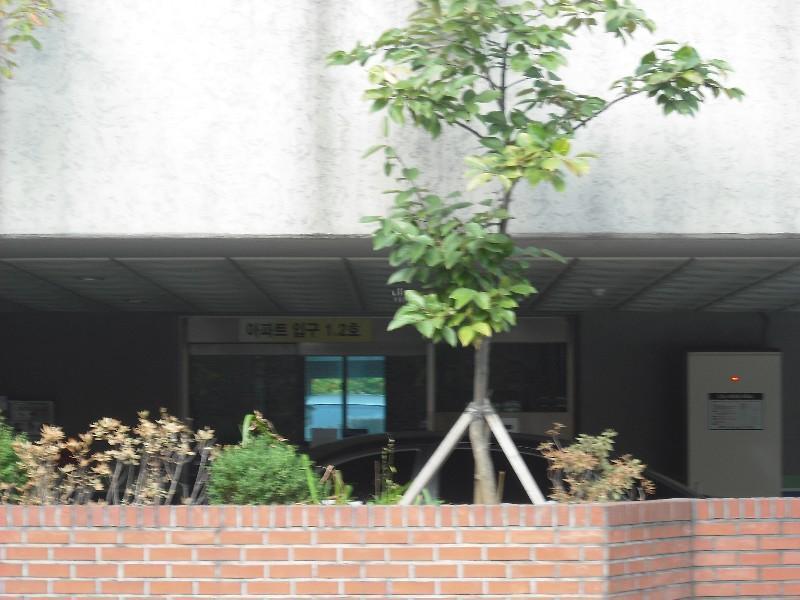 DSCF0612