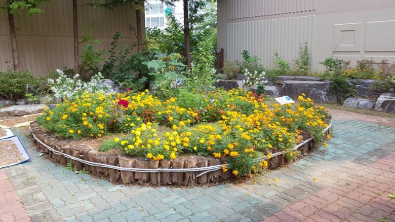 단지 내 곳곳에 사계절 변화를 느낄 수 있는 다양한 식재가 조경되어 있어 여유로운 주거생활을 보낼 수 있어요