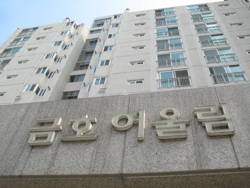 사진 206