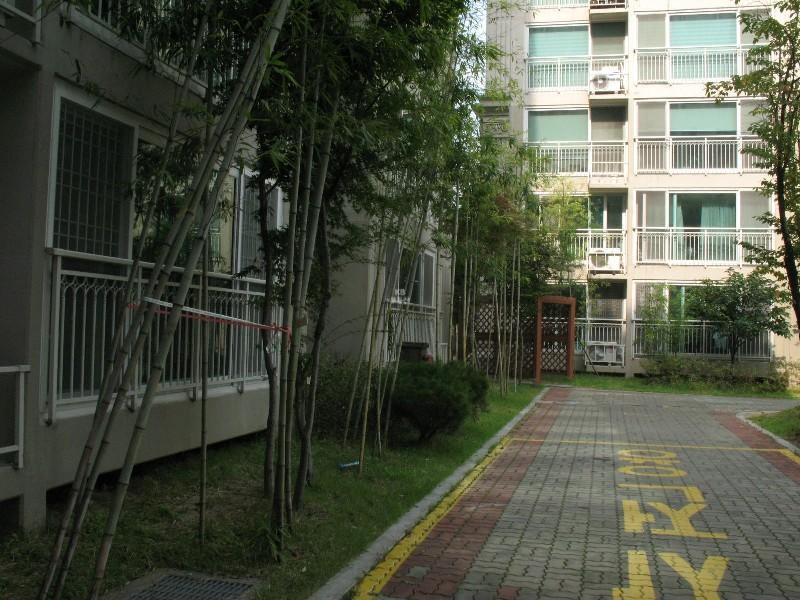 사진 208