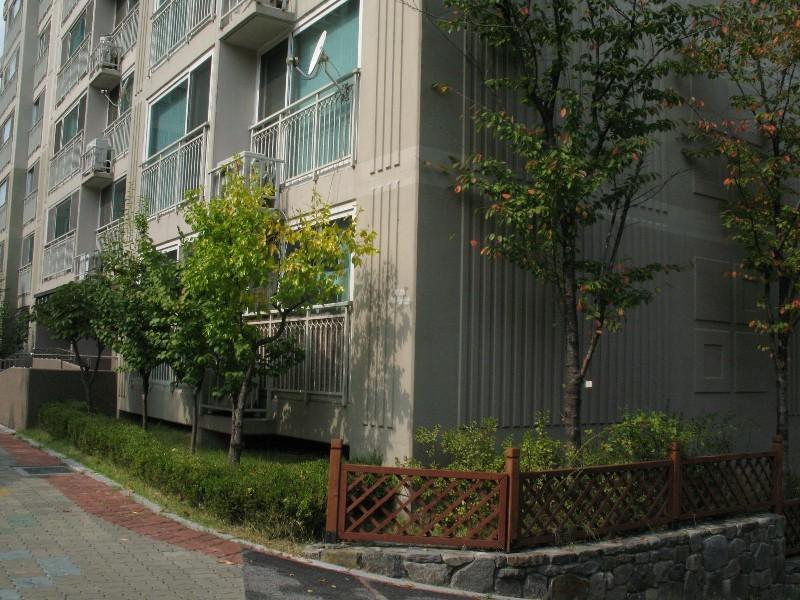 사진 214