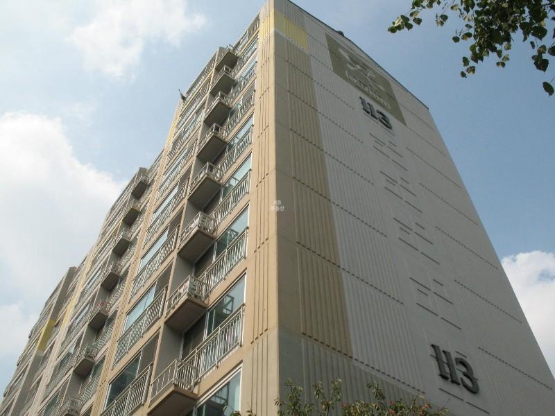 사진 215