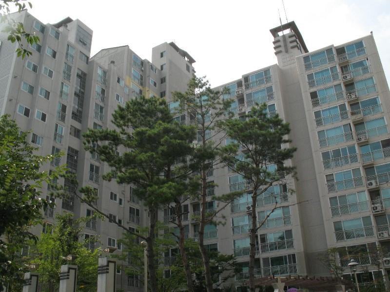 사진 216