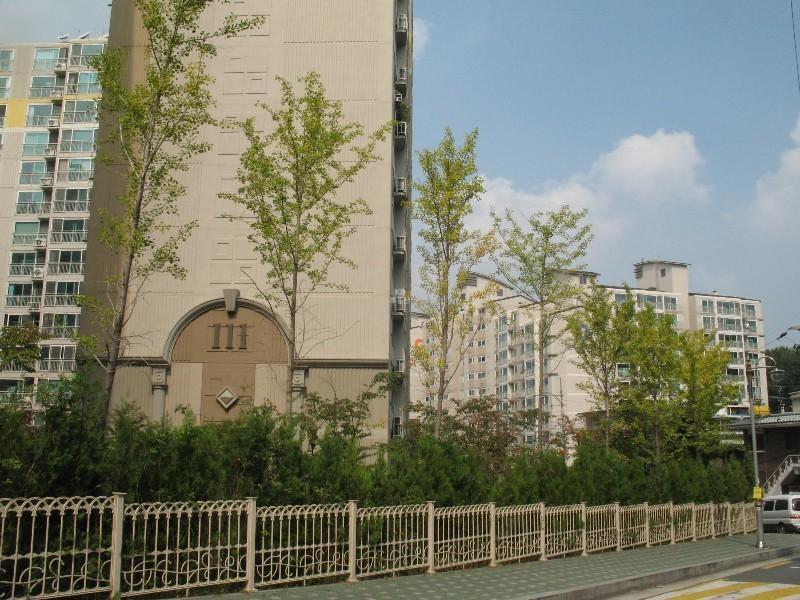 사진 223