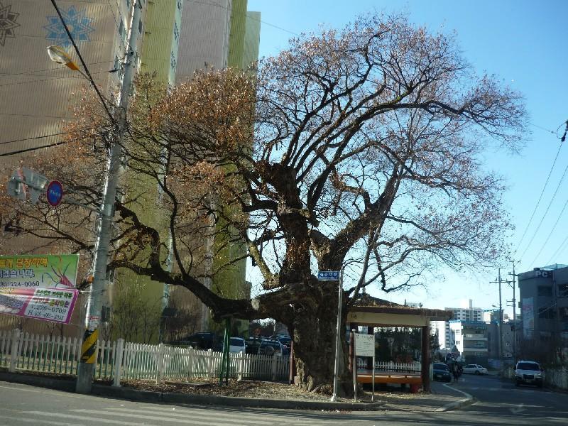 P1040790