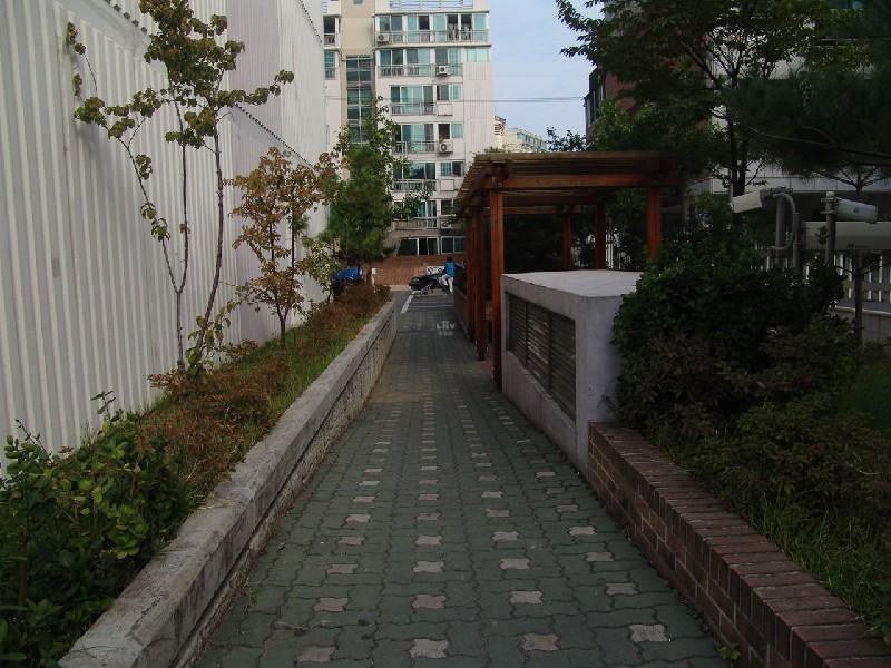 DSC08763