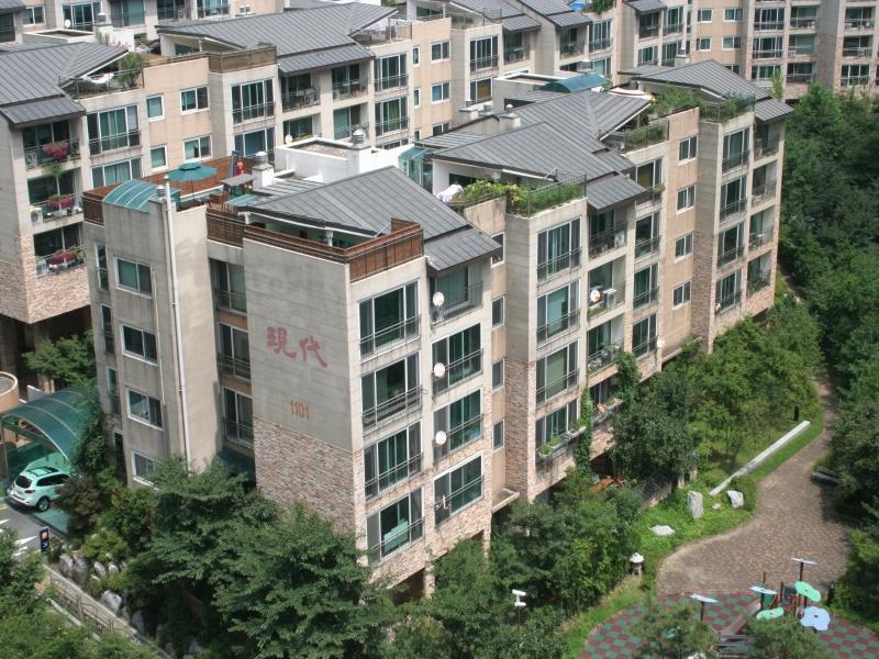 1101동