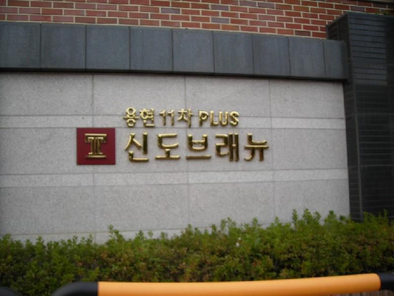 DSCN6921