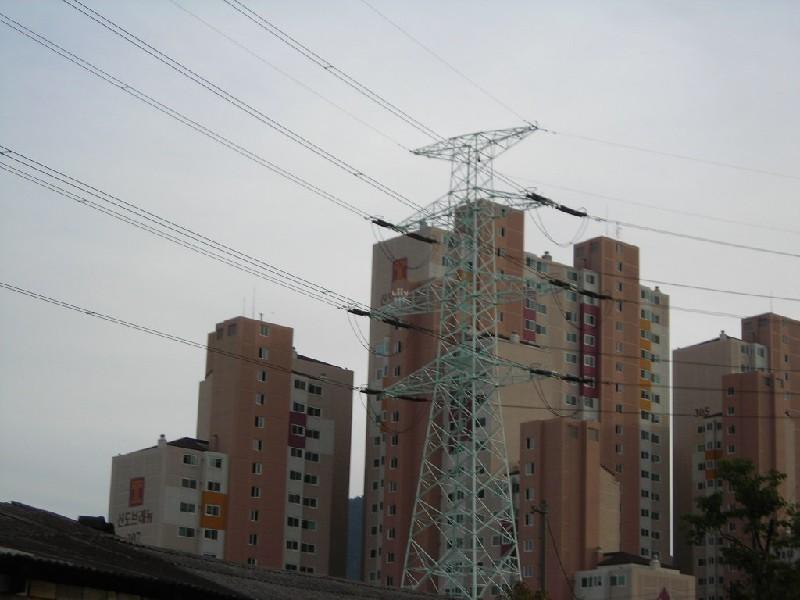 DSCN6925