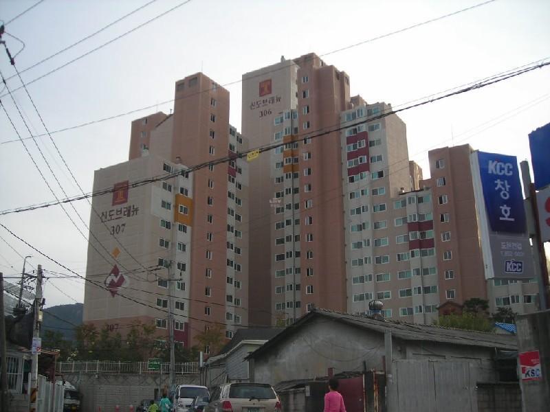 DSCN6929