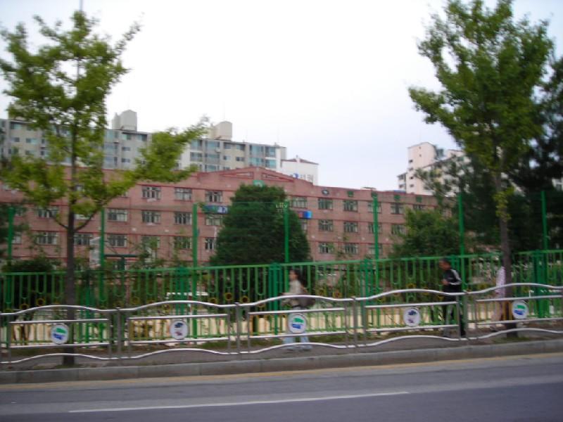 DSCN6983