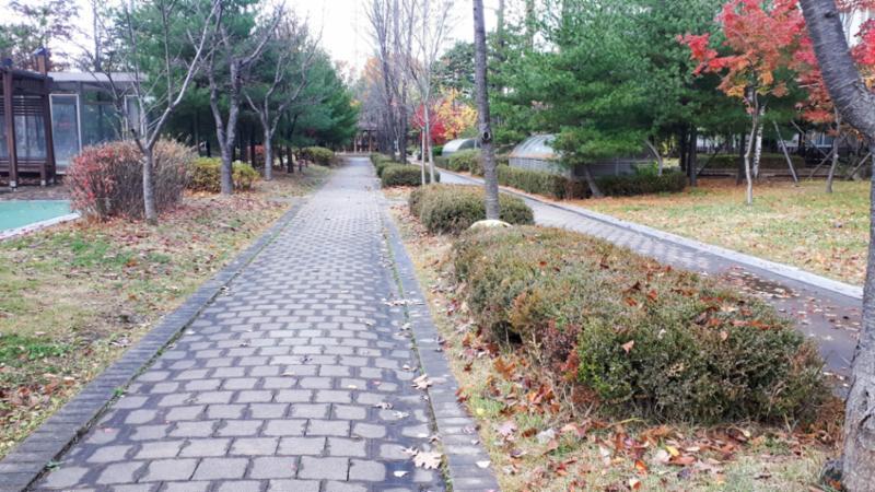 단지를 따라 걸으며 자연을 느낄 수 있는 쾌적한 단지 내 산책로이구요