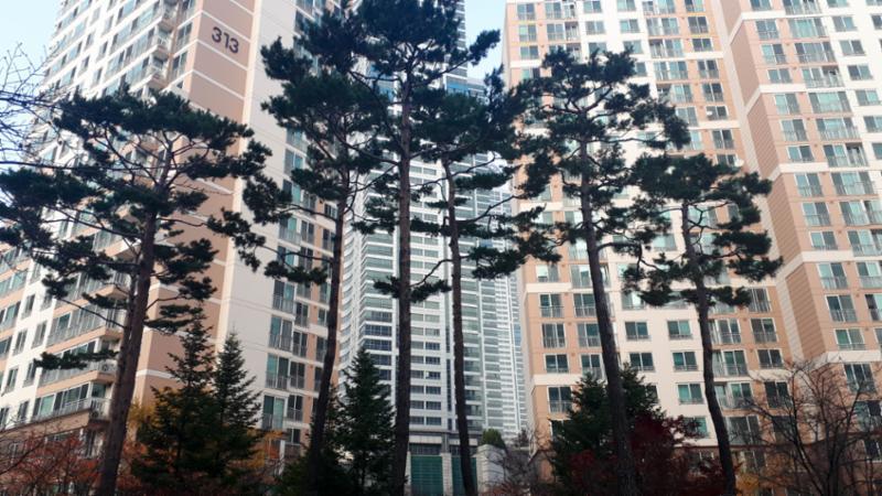 동탄시범다은마을삼성래미안 전경 모습이에요