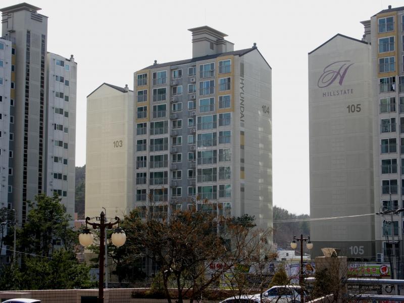 104동