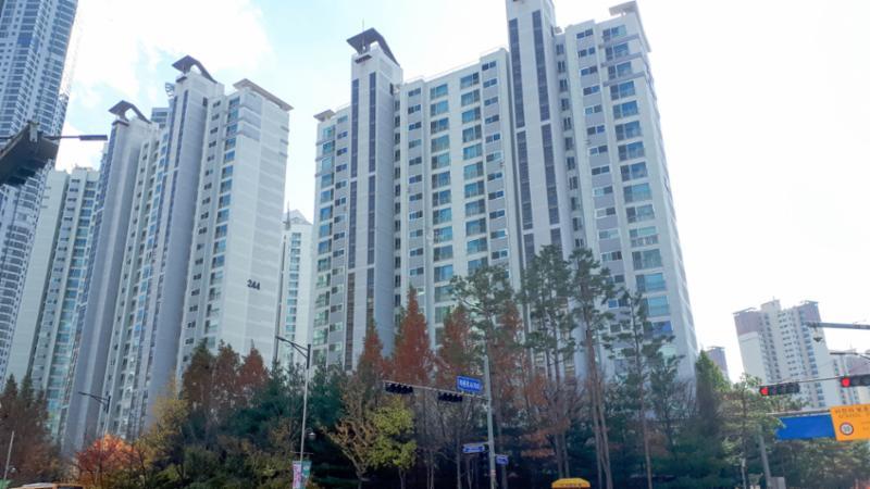 244동 동탄시범한빛마을금호어울림 아파트 단지 전경이에요