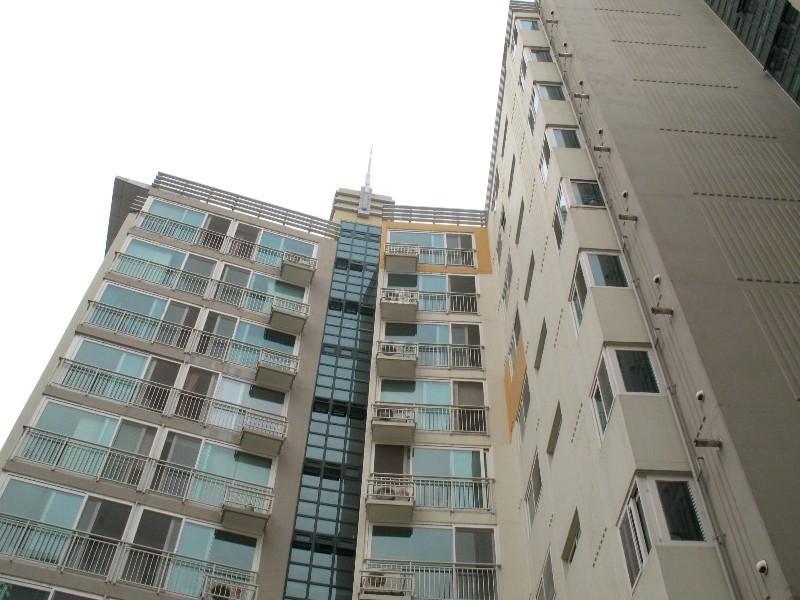 사진 065