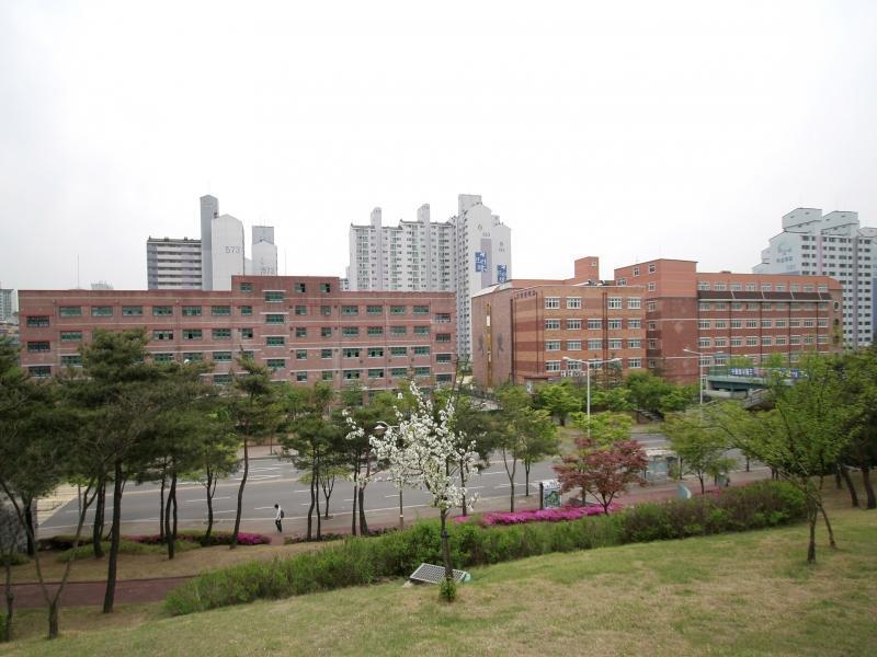 대평초,중교
