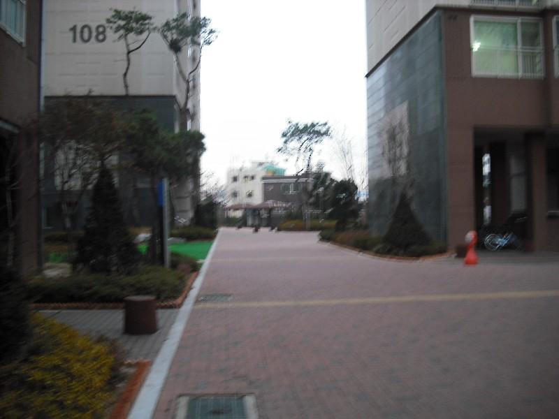 DSCF1399
