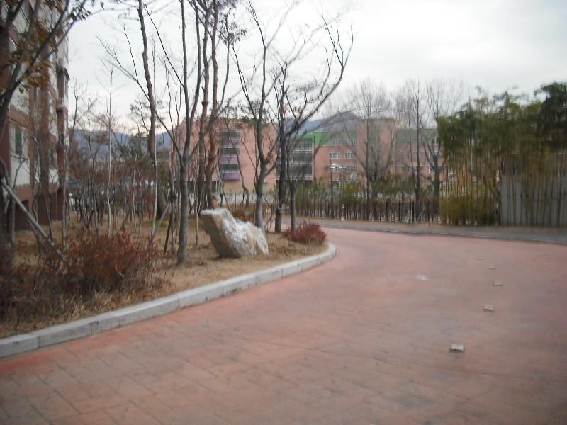 DSCF1408