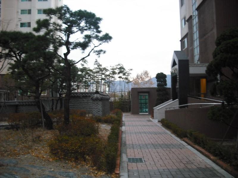 DSCF1411